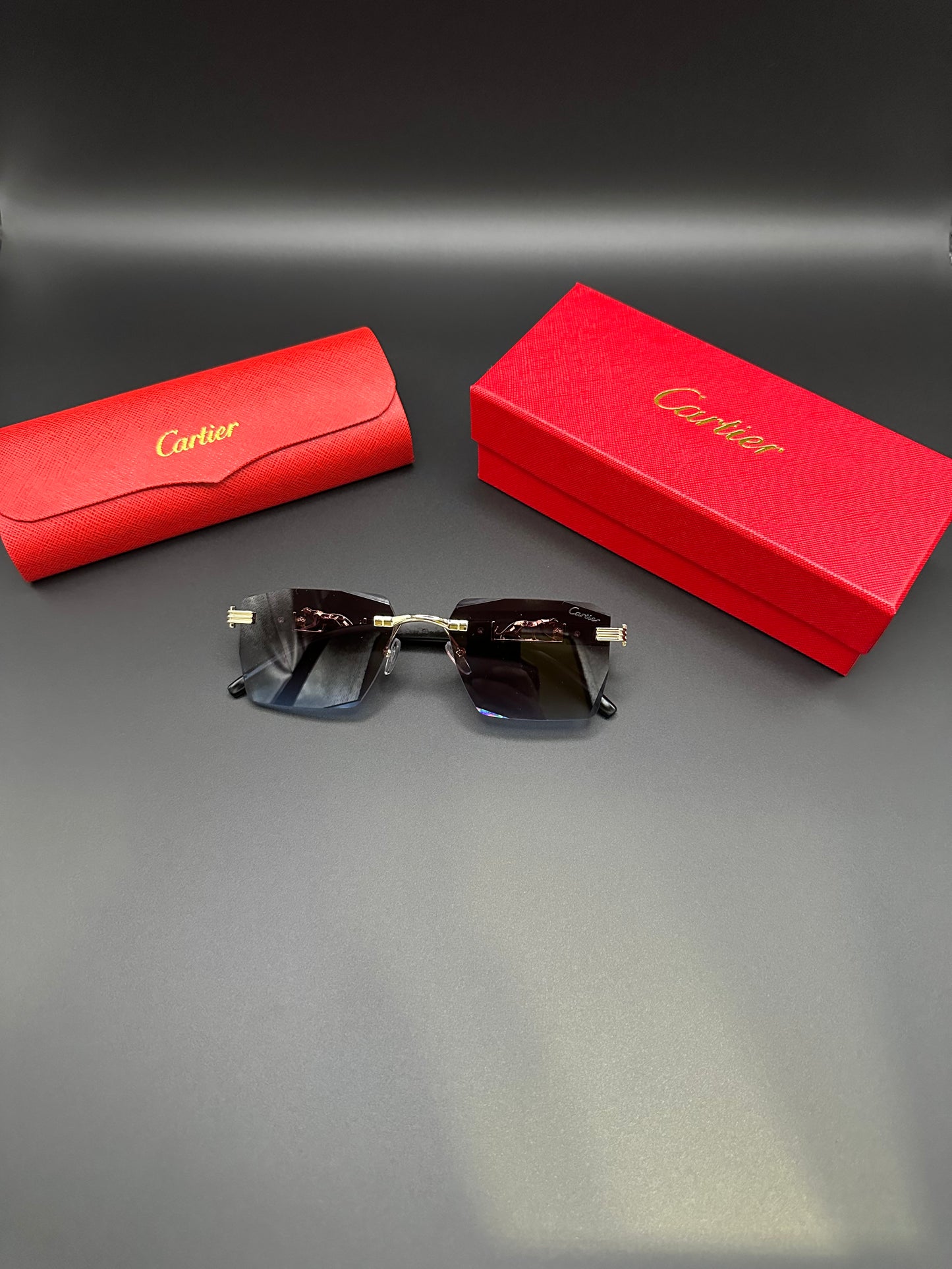 CARTIER sunglasses black/gold