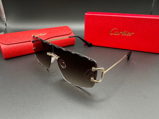 CARTIER Phantom Panther